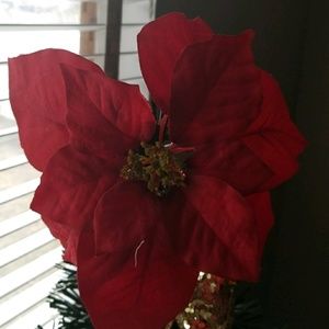 Meet your Posher, Spring